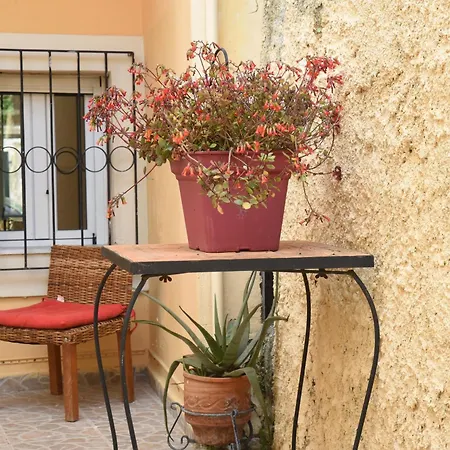 アパート Maxim In Corfu Town *