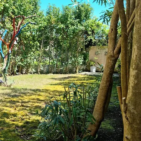 Maxim In Corfu Town Ανεμόμυλος