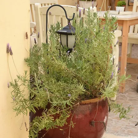 Maxim In Corfu Town Appartement