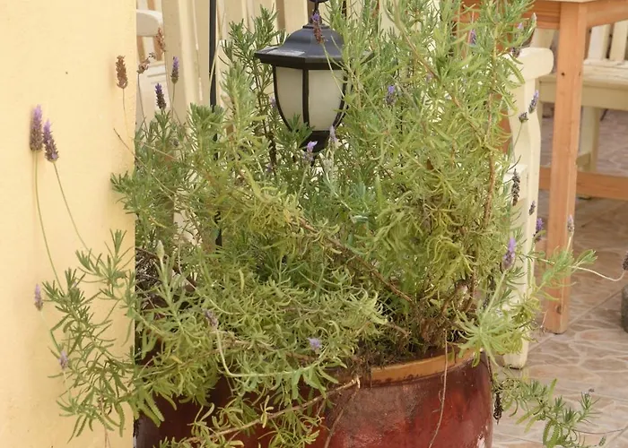 Maxim In Corfu Town Appartement