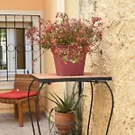 公寓 Maxim In Corfu Town *